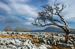 Shaped by the Elements, Yorkshire Dales