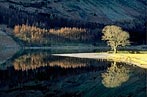 Nature's Lighting, Buttermere