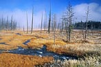 Morning Mists, Tangle Creek, Yellowstone NP, USA