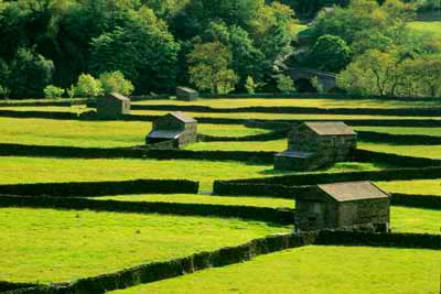 1476_Field & Barn Patterns, Gunnerside