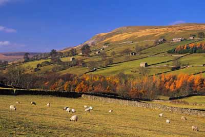 5375_Autumn in Swaledale