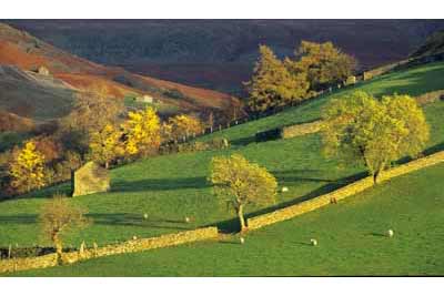 7340_Autumn Evening near Keld