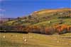 5375_Autumn in Swaledale