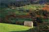 7328_Swaledale Barn Scene