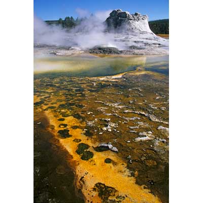 7439_Castle Geyser