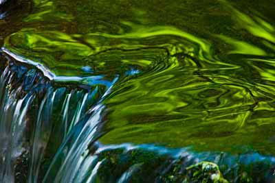 0270_Fern Spring, Yosemite