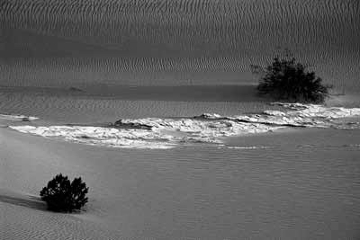 0490_Patterns in the Dunes