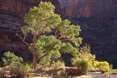 4182 Big Bend, Zion