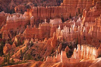 4615 Early Light, Bryce Canyon