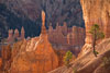 4453-bryce-canyon-2