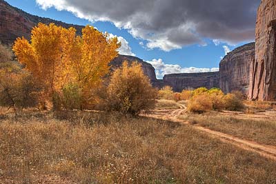 5101 Autumn, Canyon de Chelley