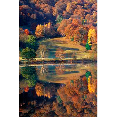 L334_Autumn Reflection, Grasmere