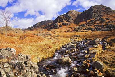 Wi8_Tarn Beck, Duddon Valley