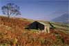 Su25_Peat Barn, Eskdale