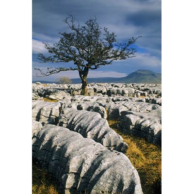 8051_Ingleborough from Twilseton Scar