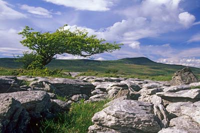 7224_Whernside from under Ingleborough