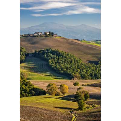 8609 Evening Light, near San Quirico