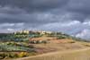 7984 Evening Light, Pienza