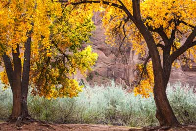 4330 Canyon de Chelly Cameo