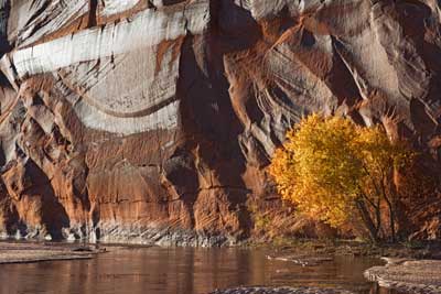 4492 Late Light Canyon de Chellyo