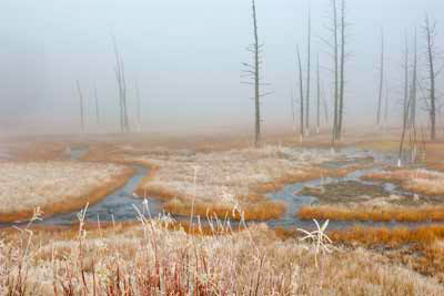 0992_Tangle Creek Mists