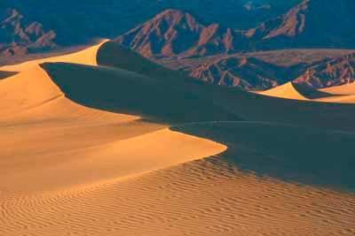 1004_Evening Light on the Dunes