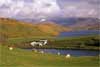 7685_Gesto Farm & Cuillins