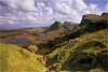 7705_Lone Tree Quiraing