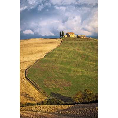 11067-Farmstead near Pienza