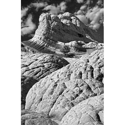 305_Brain Rock Landscape