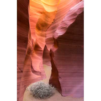 8294 Tumbleweed in Antelope Canyon